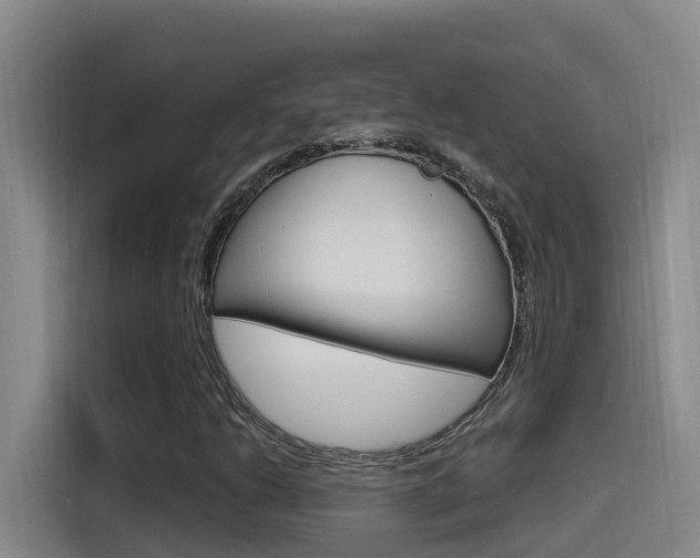 X0000115521206200911061016