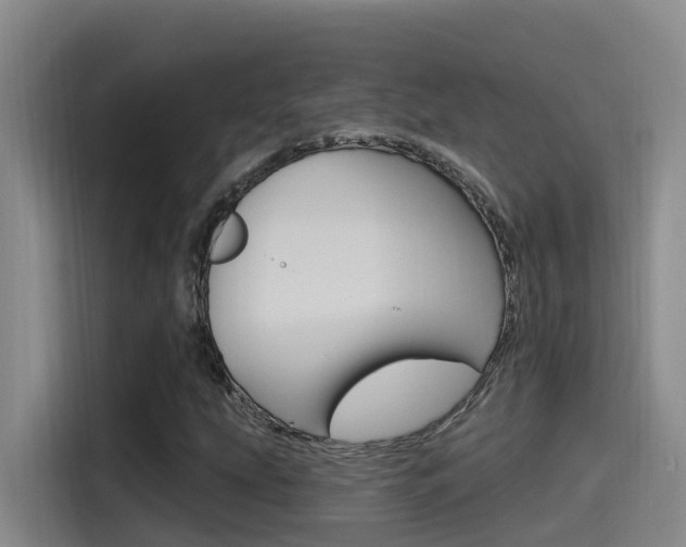 X0000115521207200911061016