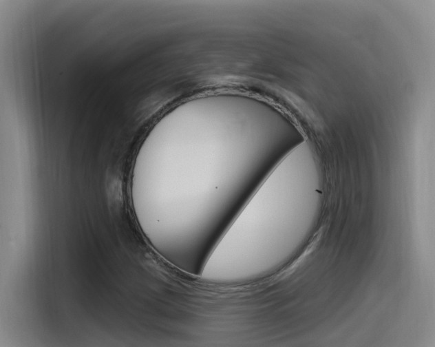 X0000115521209200911061016