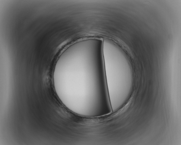 X0000115521210200911061016