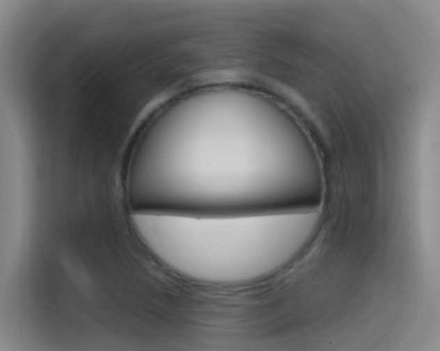 X0000115521218200911061016