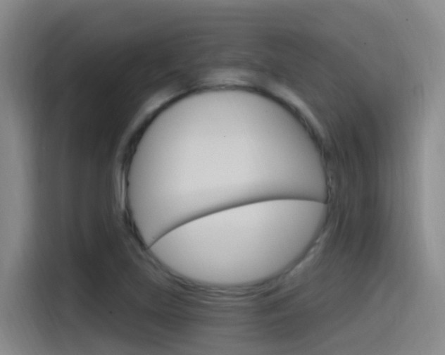 X0000115521219200911061016