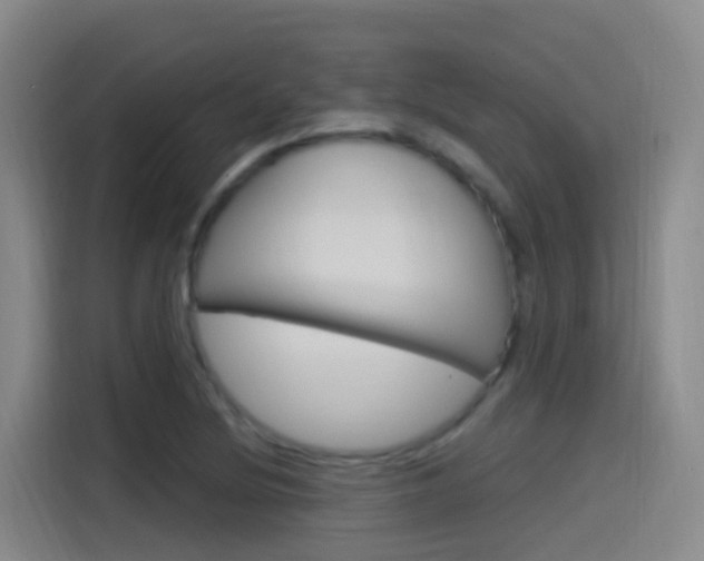 X0000115521220200911061016