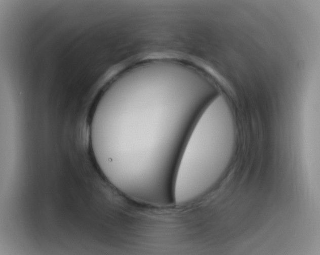 X0000115521221200911061016