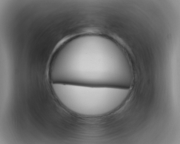 X0000115521222200911061016