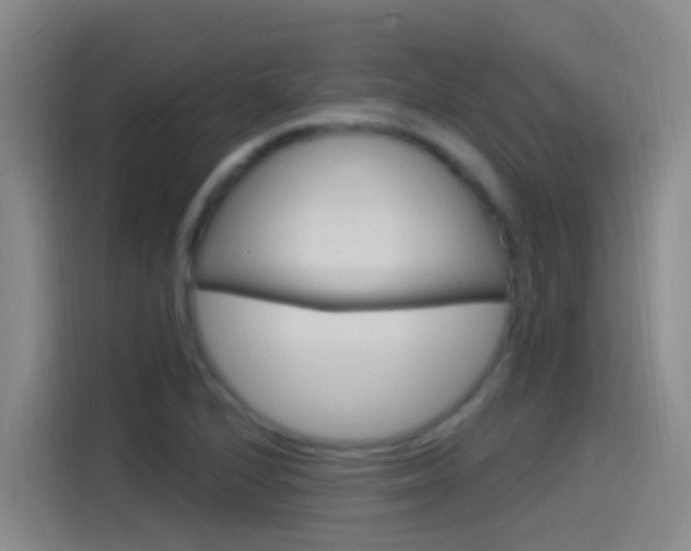 X0000115521224200911061016