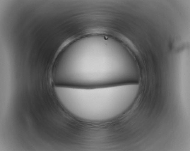 X0000115521226200911061016