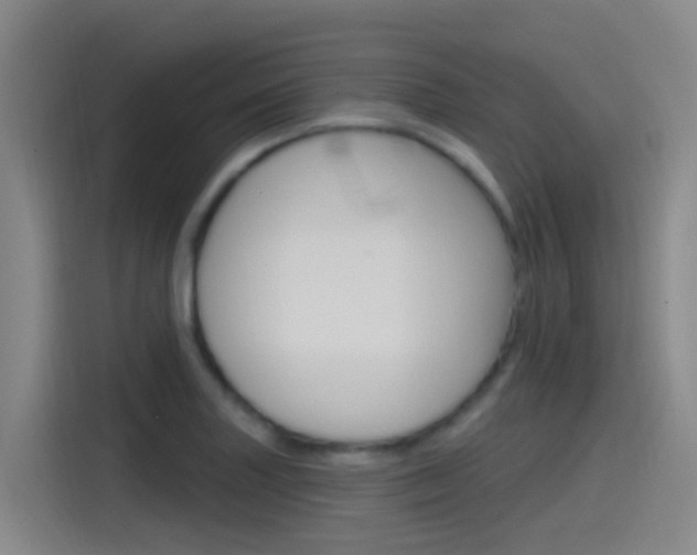 X0000115521227200911061017