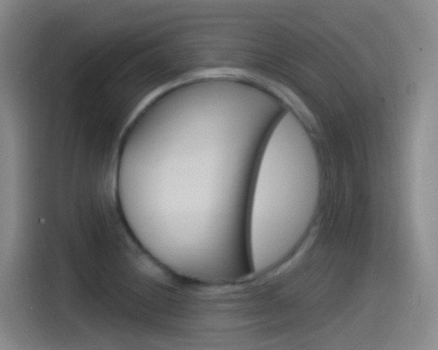 X0000115521228200911061017