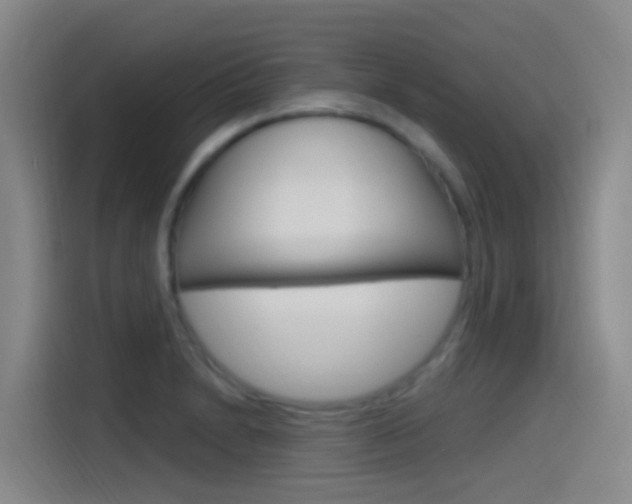 X0000115521230200911061017