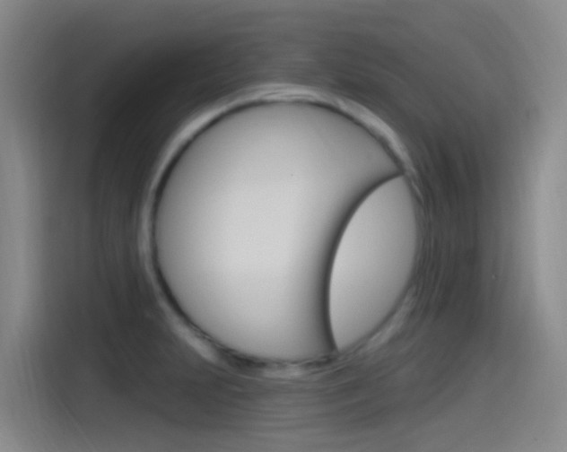 X0000115521231200911061017