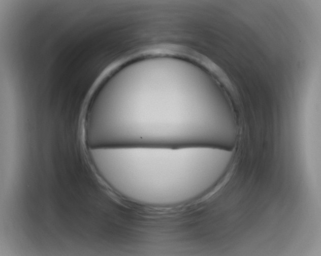 X0000115521232200911061017