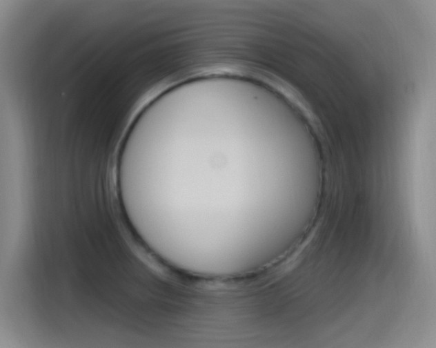 X0000115521234200911061017
