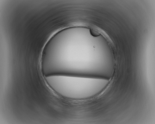 X0000115521236200911061017
