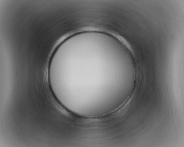 X0000115521238200911061017