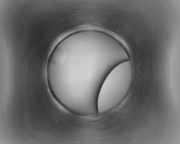 X0000115521239200911061017
