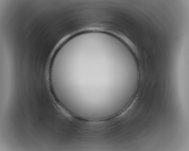 X0000115521240200911061017
