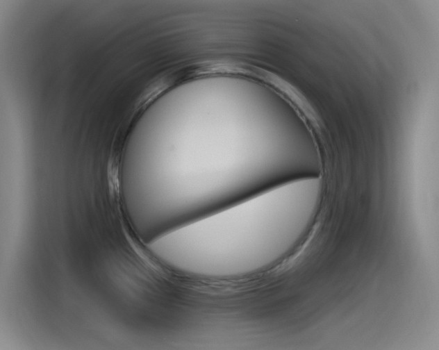 X0000115521241200911061017