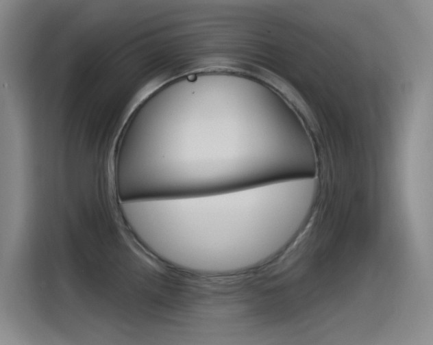 X0000115521242200911061017