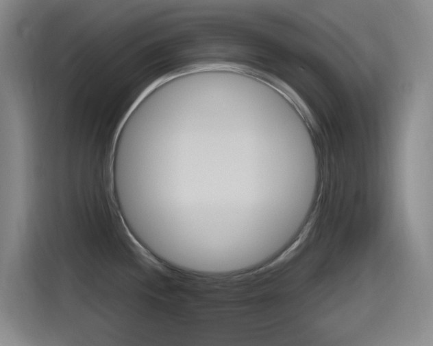 X0000115521244200911061017