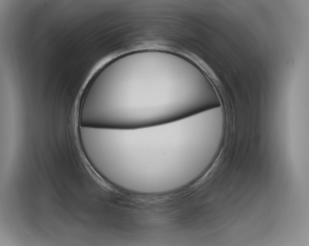 X0000115521246200911061017