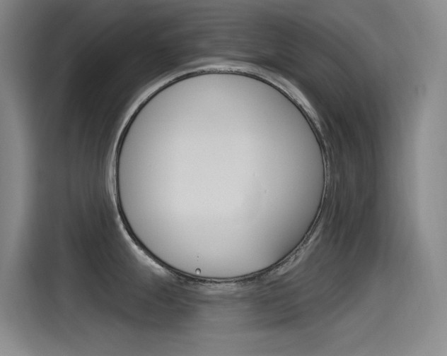 X0000115521247200911061017