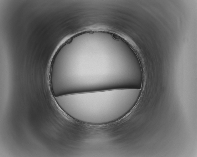 X0000115521248200911061017