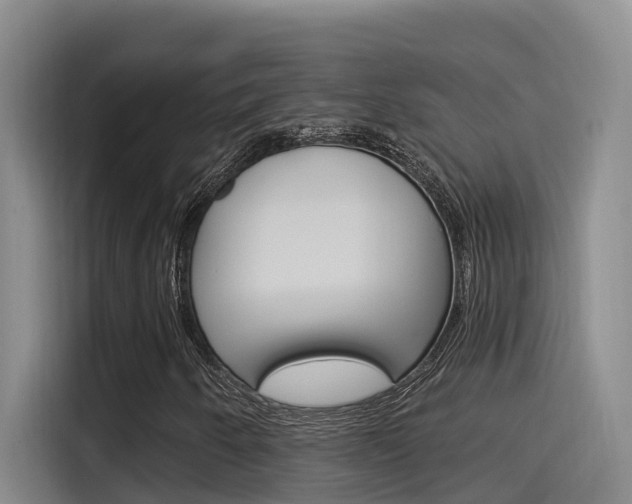 X0000115521250200911061016
