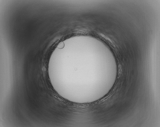 X0000115521254200911061016