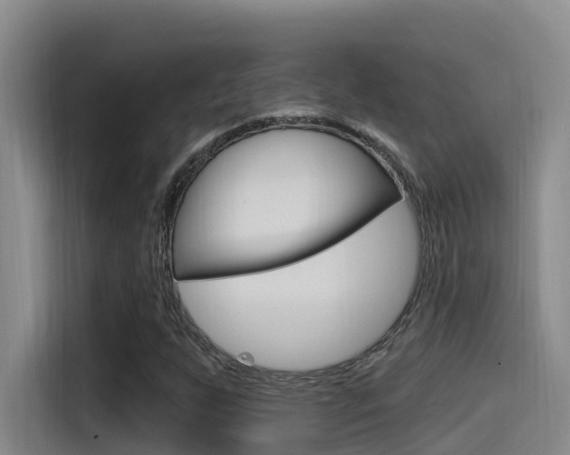 X0000115521255200911061016