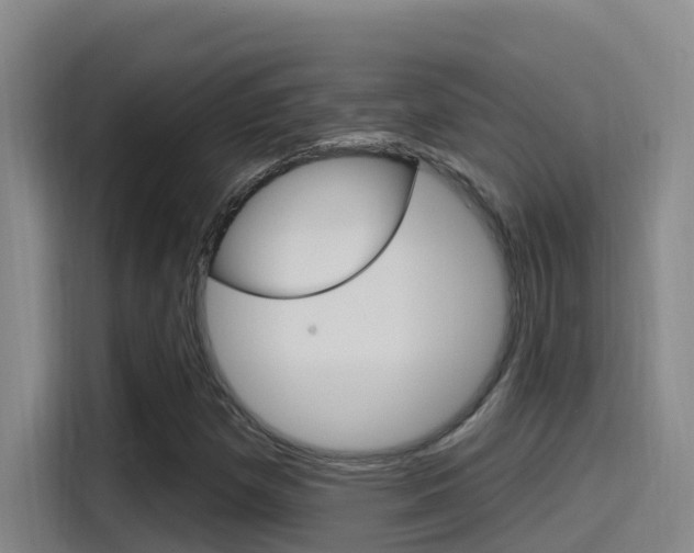 X0000115521257200911061016
