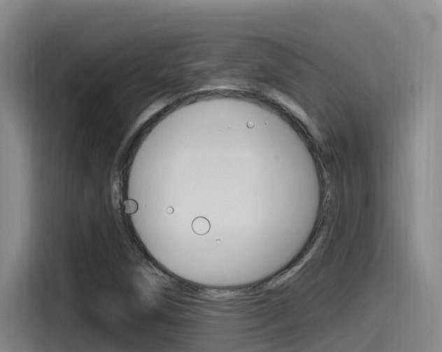 X0000115521258200911061016