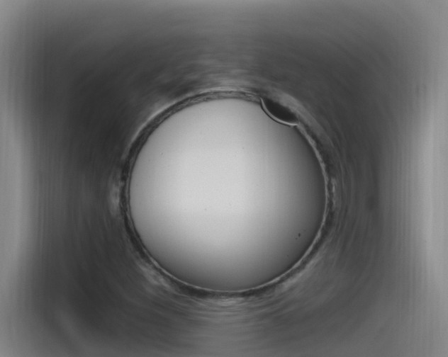 X0000115521260200911061016