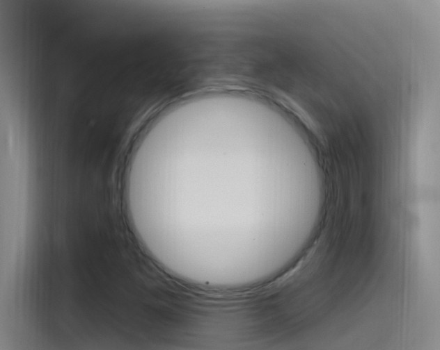 X0000115521261200911061016