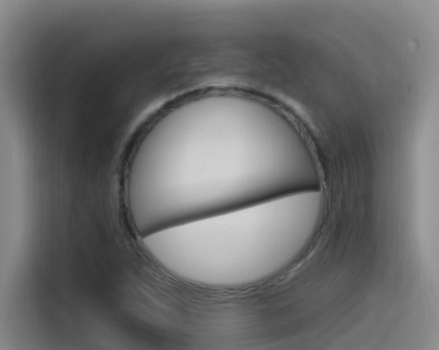 X0000115521263200911061016