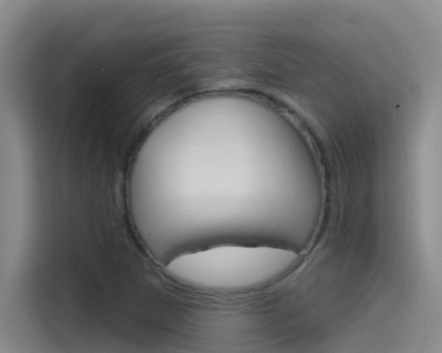 X0000115521265200911061016