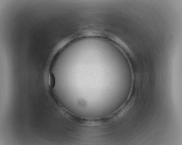 X0000115521269200911061016