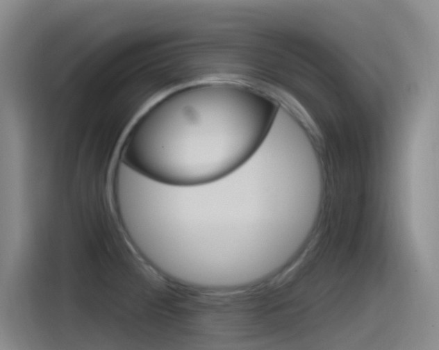 X0000115521284200911061016