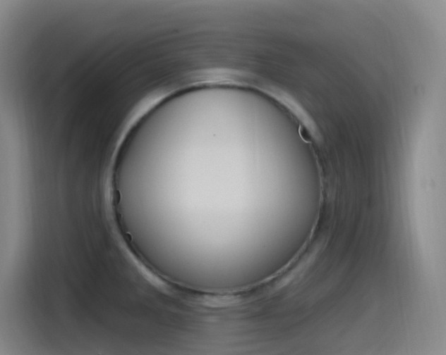 X0000115521285200911061016