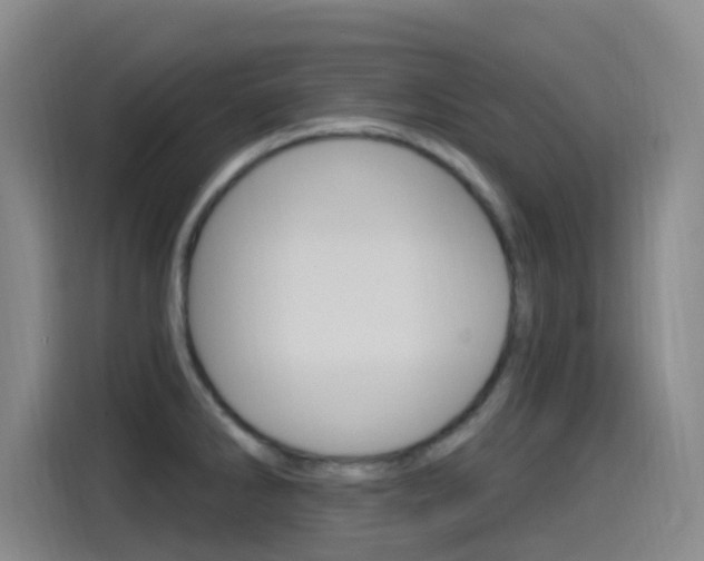 X0000115521286200911061016