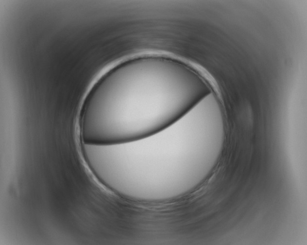 X0000115521287200911061016