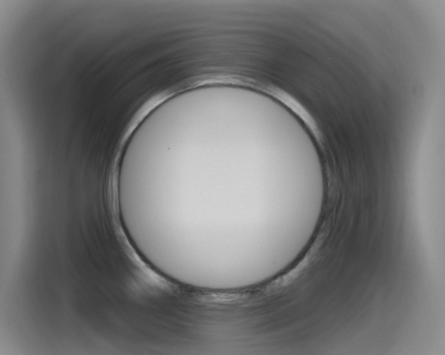 X0000115521290200911061016