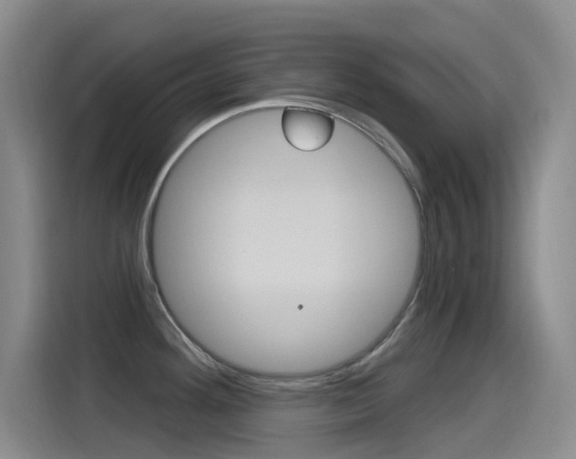 X0000115521292200911061016