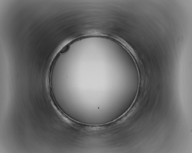 X0000115521293200911061016