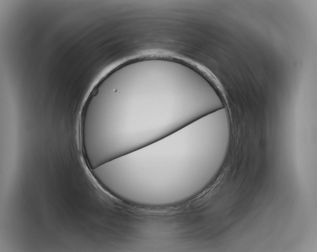 X0000115521295200911061016