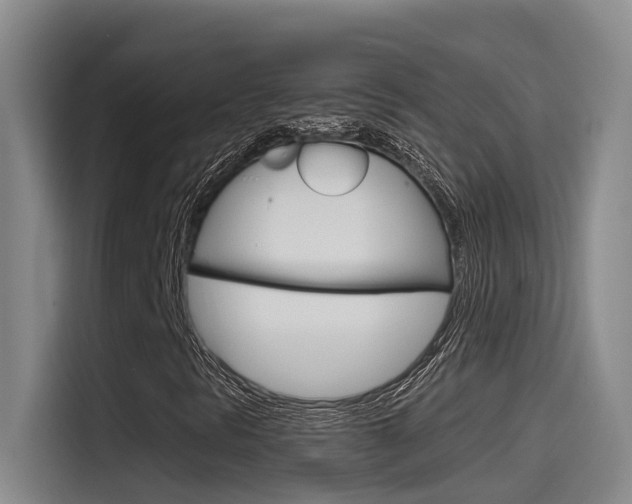 X0000115521297200911061015