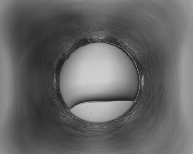 X0000115521299200911061015