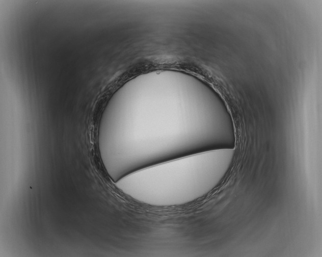 X0000115521301200911061015