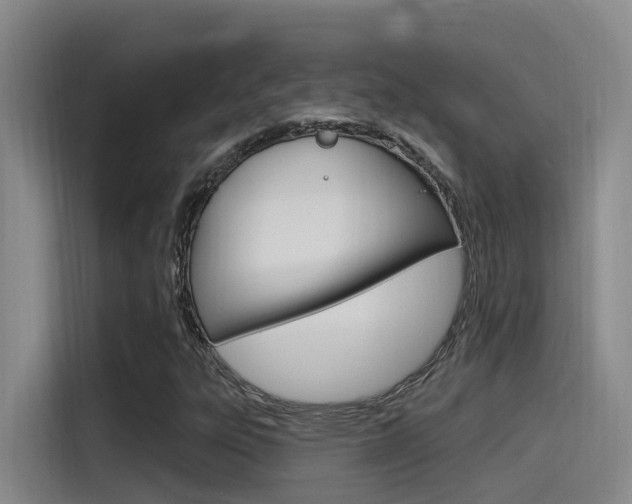 X0000115521303200911061015