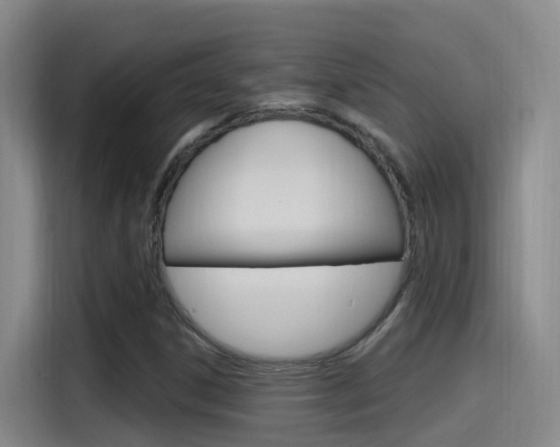 X0000115521306200911061015